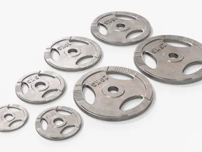 Set of weight plates 03 3D model