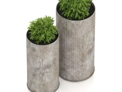 Two Plants in Large Pots 3D model
