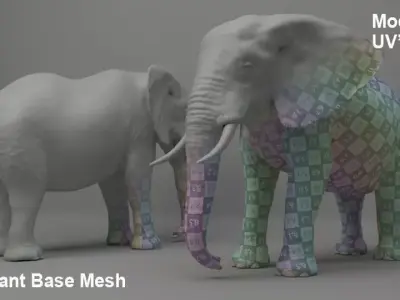 Elephant Base Mesh 3D model