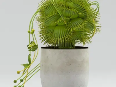 Vase 29 flycatcher flower Dionaea 3D model