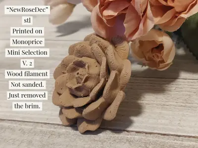 Christmas Rose 3D print model