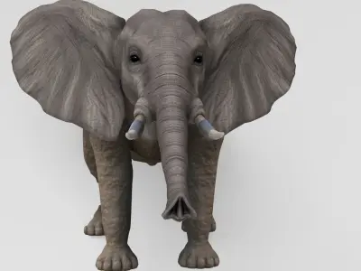 AnimalS Collection 3D model