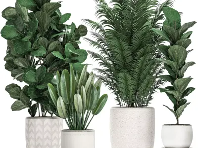 Decorative plants in a white pot for the interior 490 3D model