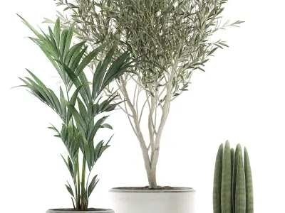 Decorative plants in flowerpots 651 3D model