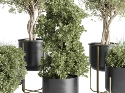 collection indoor plant stand metal vases pot tree bush 3D model