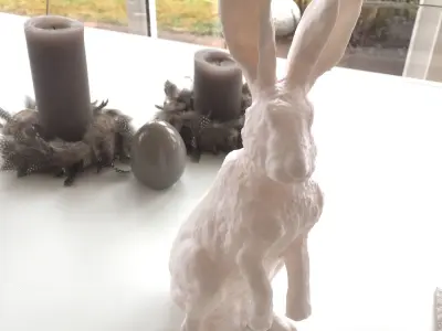 Easter bunny 3D print model
