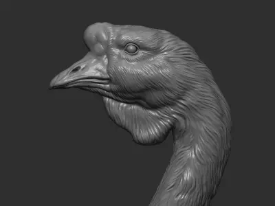 Goose Gander bust 3D print model