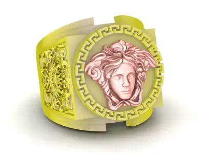 Medusa and Dragon Luxury Men Ring Design 93a 3D print model