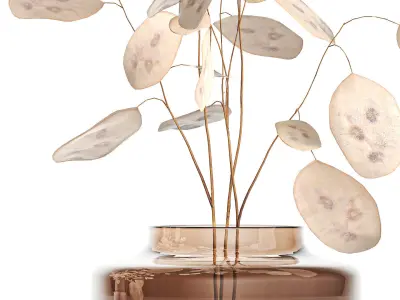 Set of bouquets of dried flowers with Lunaria branches 409 3D model