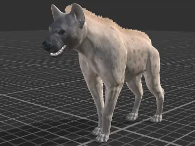 Hyena  Low-poly 3D model