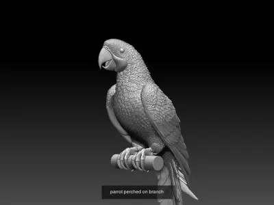 parrots 3D Model Collection