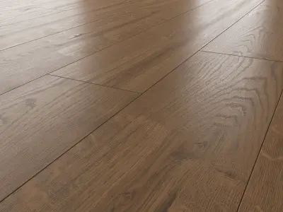 Wood Floor Oak Black Walnut Sanded 3D model