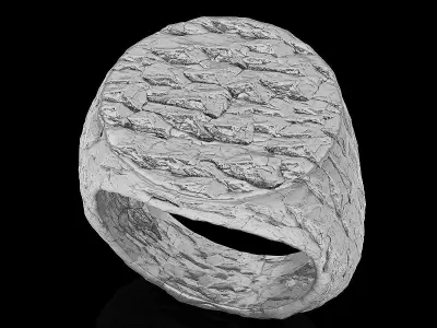 Rock ring   gold jewelry 3D printable model 3D print model