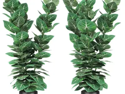 Plant in Pot Flowerpot Exotic Plant 3D model 14