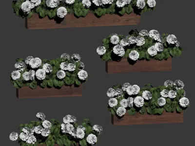 Hydrangea plant in a flowerpot for the facade - 5 models 3D model