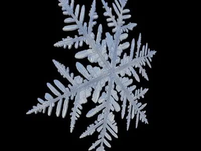 snow flake  3D model