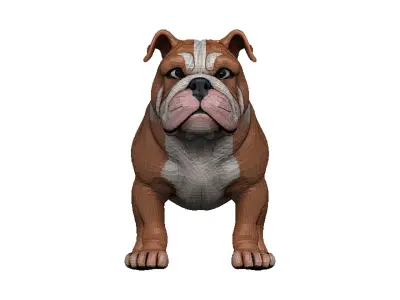 Bulldog Low-poly 3D model buy