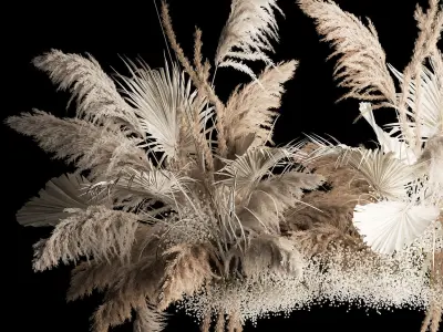 Hanging Bouquet Of Dry Reeds For Decoration 257 3D model