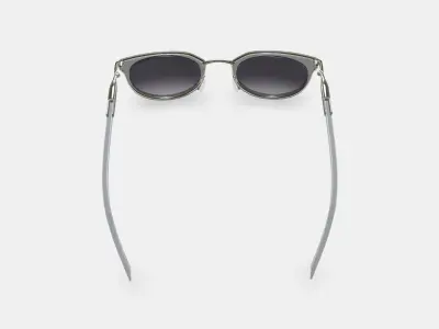 Whittier Sunglasses in Soapstone with Riesling 3D model