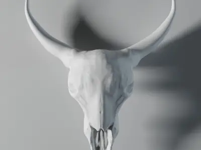 Cow Skull 3D model
