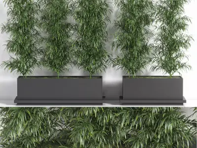 Palm in Plant Box 3D model