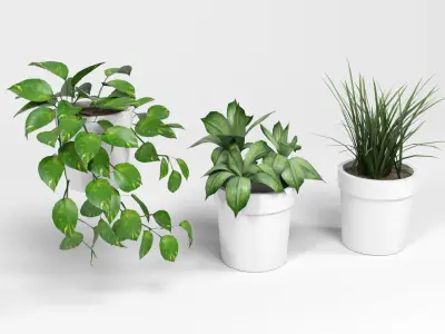 Plants pack 2 Low-poly 3D model