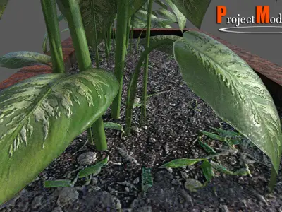 Planter-Version-001 planter with two potted plants Low-poly 3D model
