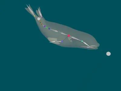 Harp Seal Low-poly 3D model