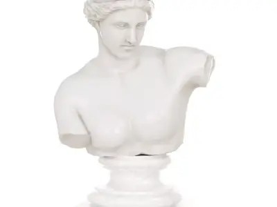 Bust of Venus of Capoa 3D model