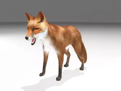 This model Fox Low-poly 3D model