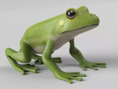 Tree Frog Low-poly 3D model