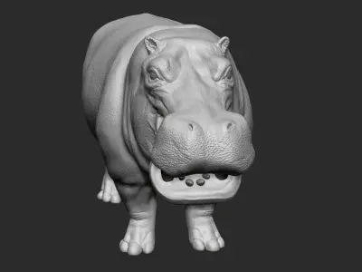 Hippopotamus - Sculpt 3D model