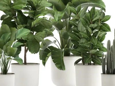Houseplants in a white pot for the interior 906 3D model