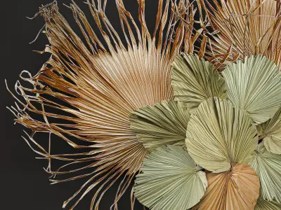 Wall decorations made of dry palm leaves 229 3D model