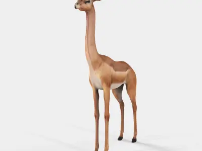 Gerenuk Antelope Low-poly 3D model