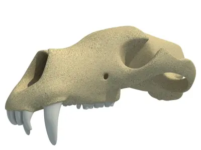 Panda Skull  3D model