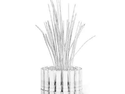 Plant 3D Model with Clothes Peg Pot 3D model