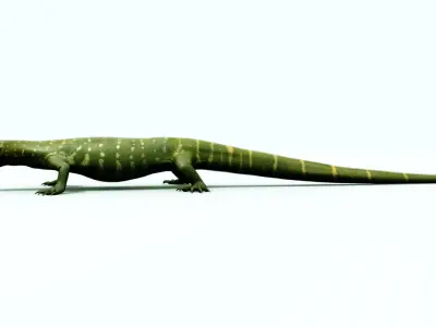green lizard 3D model