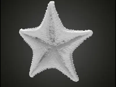Starfish gold 3D print model