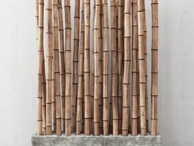 Bamboo decor n25 3D model
