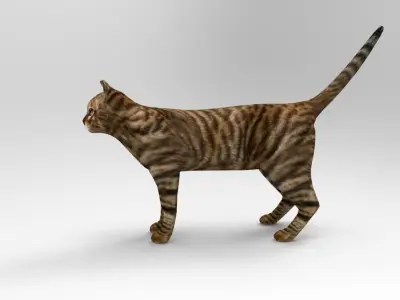 3d Cat wild low poly model Low-poly 3D model