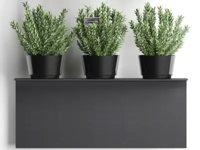 Plant set wall decor vertical garden 51 3D model
