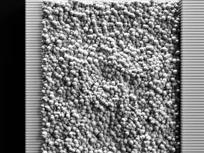 Vertical garden and planks 2 3D model