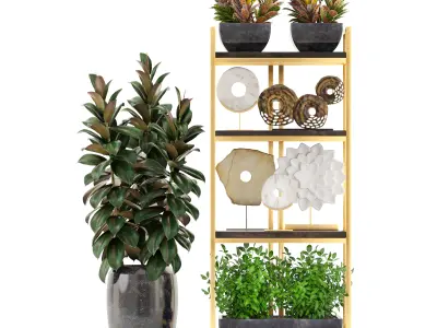 Rack with the decor of figurines and plants 3D model