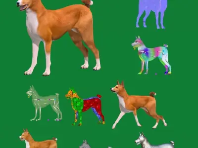 Basenji Dog 3D model