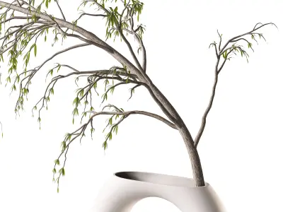 Decorative Set 17 3D model shop