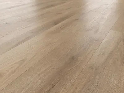 Wood Floor v04 Texture