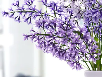 Lavender dev 3D model