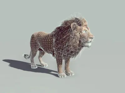 Lion realtime model Low-poly 3D model