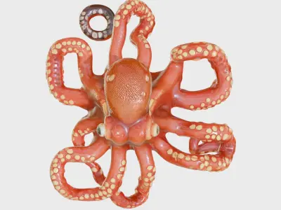 Oceanic Explorer Octopus Model with Regenerative Tentacles Low-poly 3D model